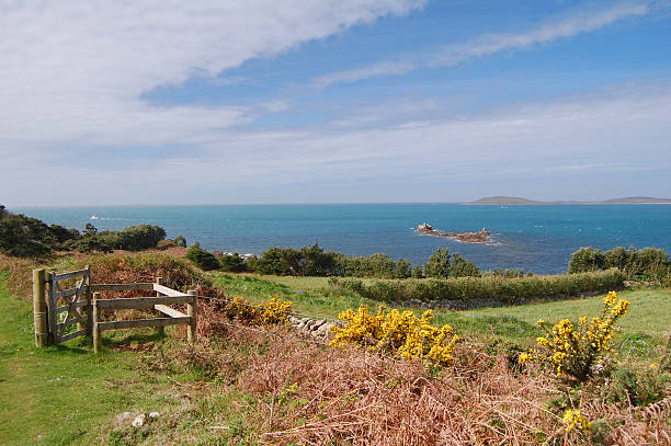 st mary's view coastal walk on st mary's, isles of scilly isles of scilly stock pictures, royalty-free photos & images