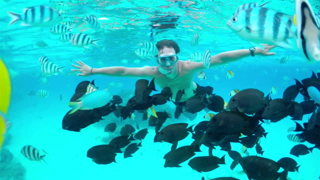 SLOW MOTION UNDERWATER: Man snorkeling exotic reef with tropical fish