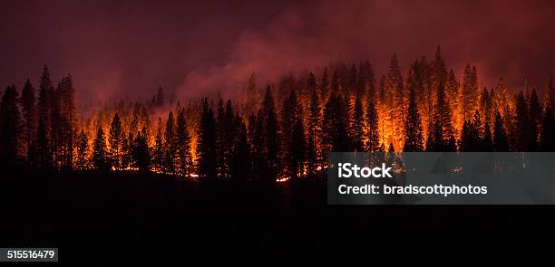 Forest Fire Panorama Stock Photo - Download Image Now - Forest Fire, California, Forest