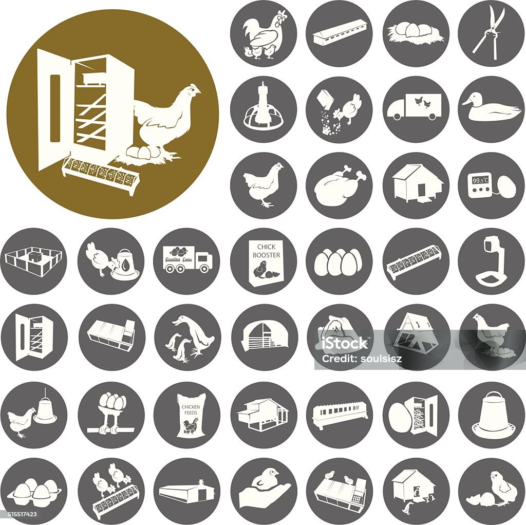 The figure shows the chicken Poultry Icons set. Illustration eps The figure shows the chicken Poultry Icons set. Illustration eps10 Badge stock vector