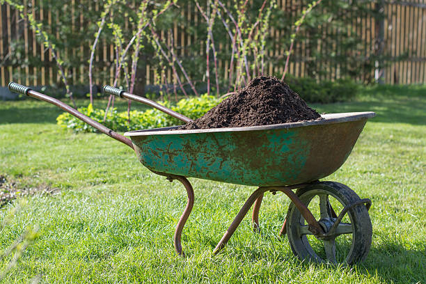 istock Wheelbarrow  full of compost on green lawn 515518320