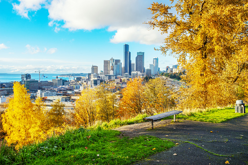 cityscape and skyline of seattle on view from hill