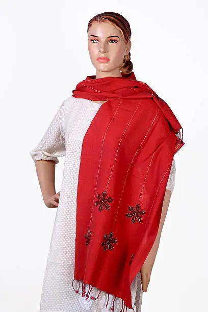 Photo of indian salwar kameez and stole collection