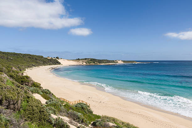 istock Injidup beach and point in Western Australia 515519947