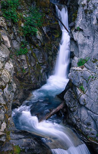 This image shows Christine Falls in Mount Rainier National Park.