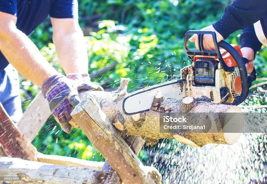 Chainsaw Person cutting wood with a chainsaw Activity Stock Photo