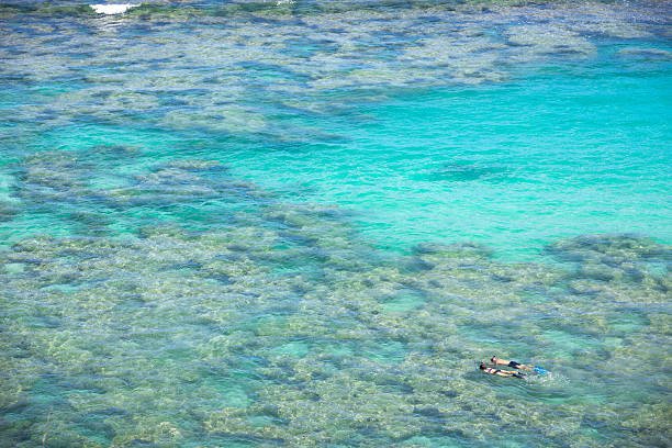 istock Hanauma Bay Coral Reef 515521401