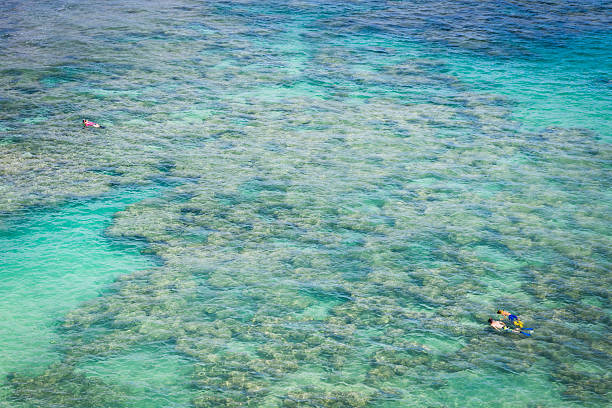 istock Hanauma Bay Coral Reef, Oahu, Hawaii 515521405