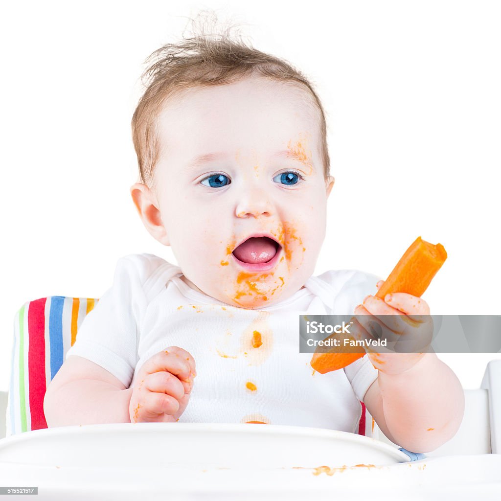 Baby eating carrot Funny laughing baby girl eating a carrot trying her first solid vegetable food sitting in a white high chair, isolated on white Baby - Human Age Stock Photo