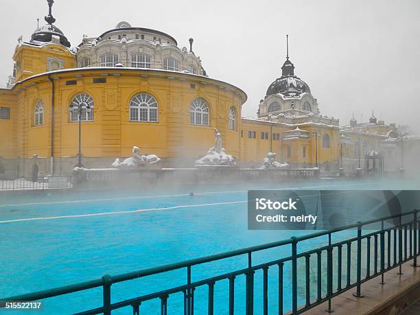 Baños Széchenyi Spa Budapest Foto de stock y más banco de imágenes de Budapest - Budapest, Invierno, Hungría