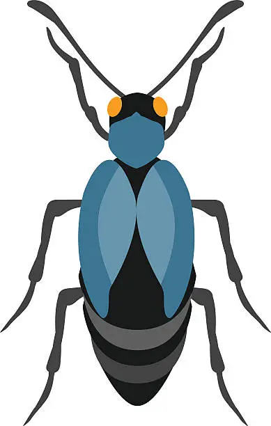 Vector illustration of Beetle flat insect bug in cartoon style vector