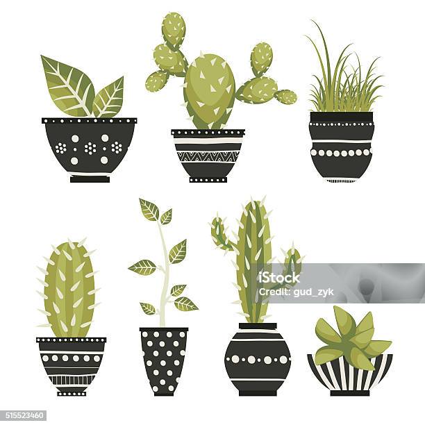 Cacti Stock Illustration - Download Image Now - Crock Pot, Flower, Botany