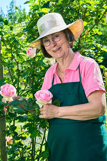 fofinho sénior jardineiro com óculos e chapéu. - senior women rose women flower bed imagens e fotografias de stock