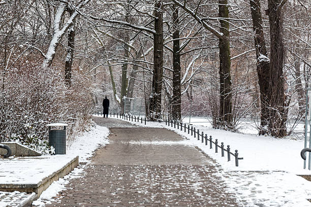 istock mysterious men walking in the snow 515524804