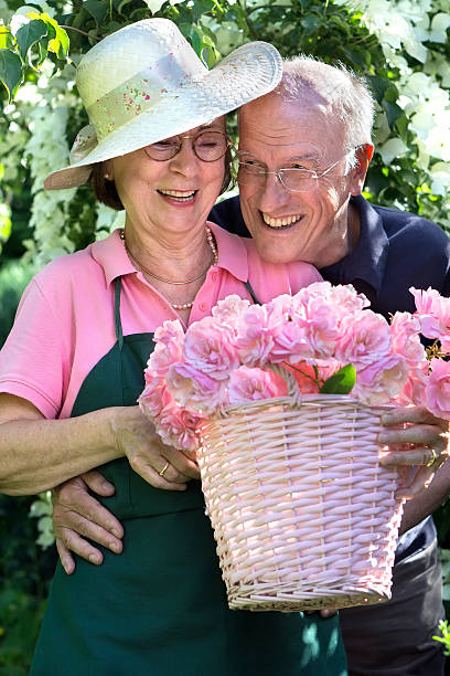 feliz pareja senior con color de rosa haré en el jardín. - gardening senior adult action couple fotografías e imágenes de stock