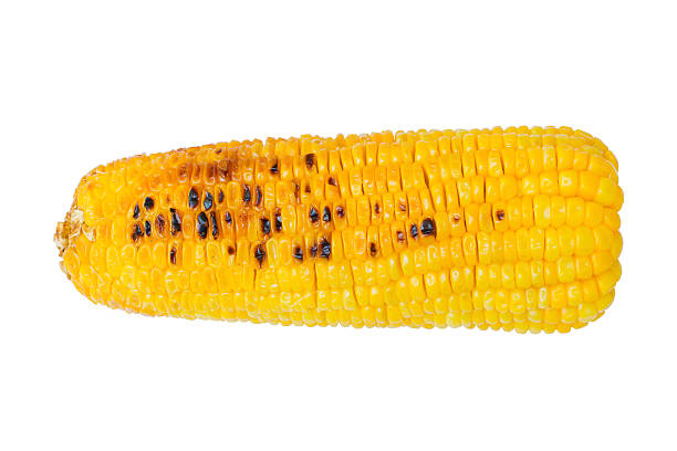 mais alla griglia pannocchia sola su sfondo bianco. percorso clip - corn on the cob corn cooked boiled foto e immagini stock