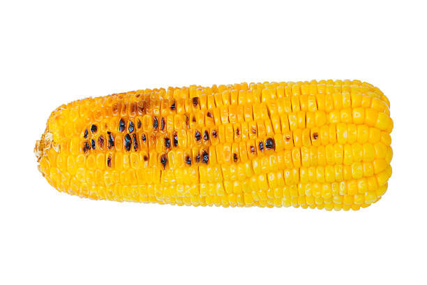 istock Grilled sweet corn cob isolated on white background. Clipping path 515526248