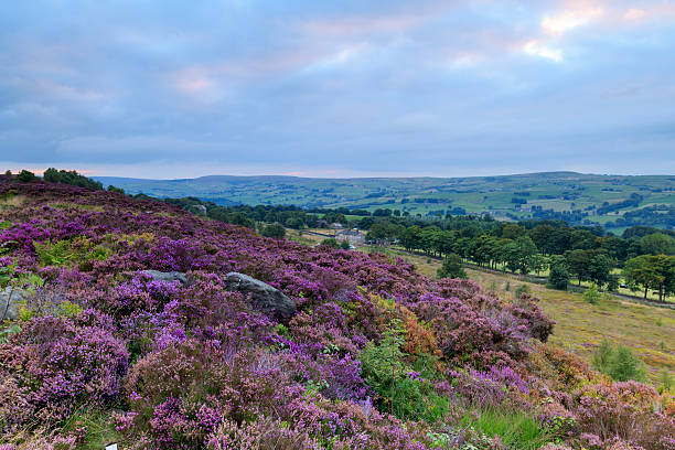 istock Norland, Halifax, West Yorkshire, UK. 515529748