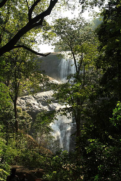 beautiful waterfalls - gavi 個照片及圖片檔