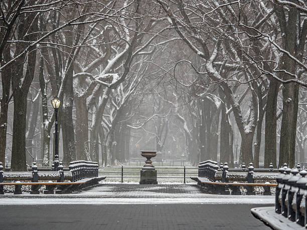 istock Central Park, New York City snow storm 515532182