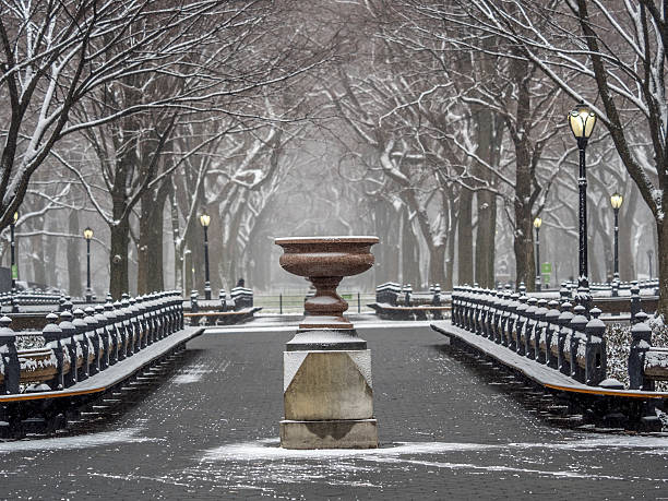 istock Central Park, New York City snow storm 515532242