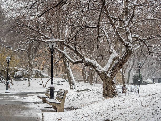 istock Central Park, New York City snow storm 515532658