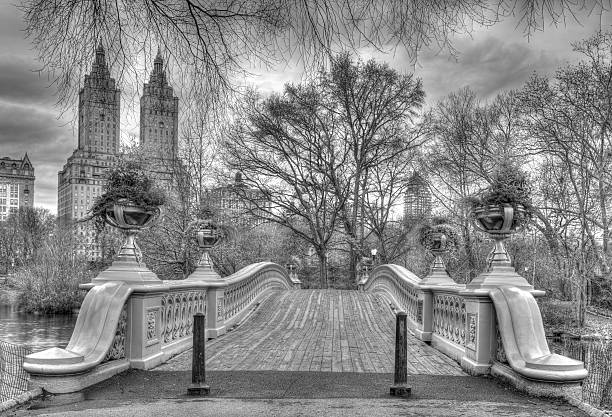 istock Bow bridge Central Park,New York City 515533136