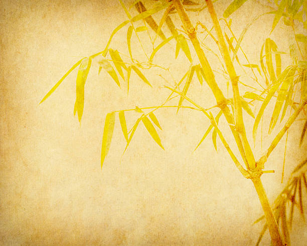 istock bamboo on old grunge paper texture background 515548343