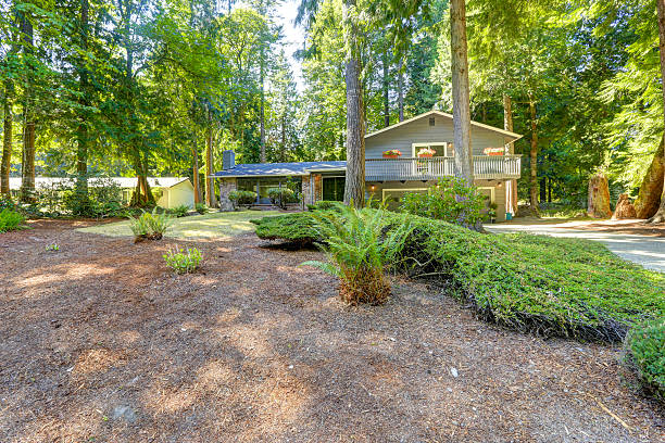 istock House in the woods. Summer time, Washington state 515551787