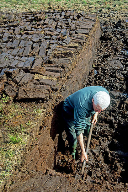 istock Bogcutter working peat bog in Ireland 515553747