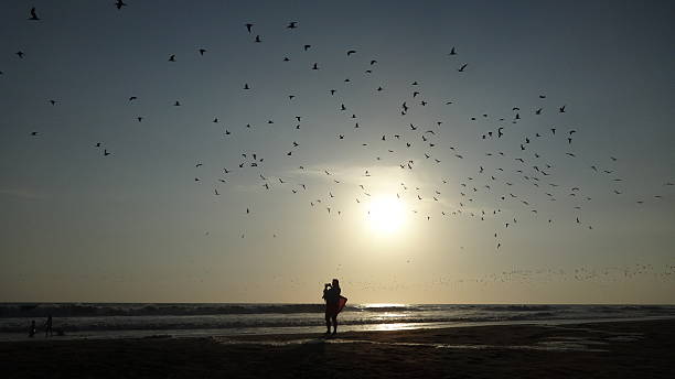 istock Birds in the sky and woman's shadow 515578621