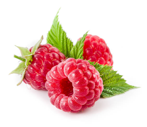 raspberries isolé sur blanc - raspberry photos et images de collection