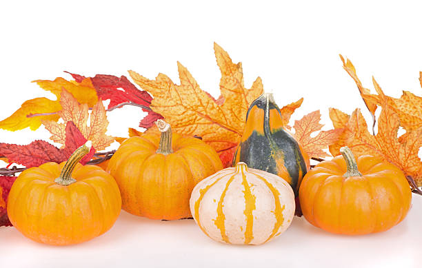 istock Autumn Gourd Arrangement 515583209
