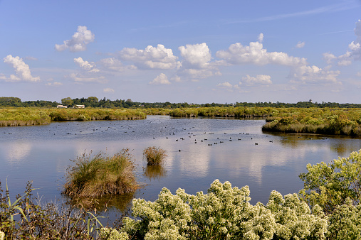 Marshes in the Bay of Arcachon near Arès, commune in the Gironde department in southwestern France