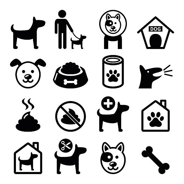 Dog, pet icons set - vet, dog's food, dog hotel Vector icons set of dog isolated on white barking animal sound stock illustrations