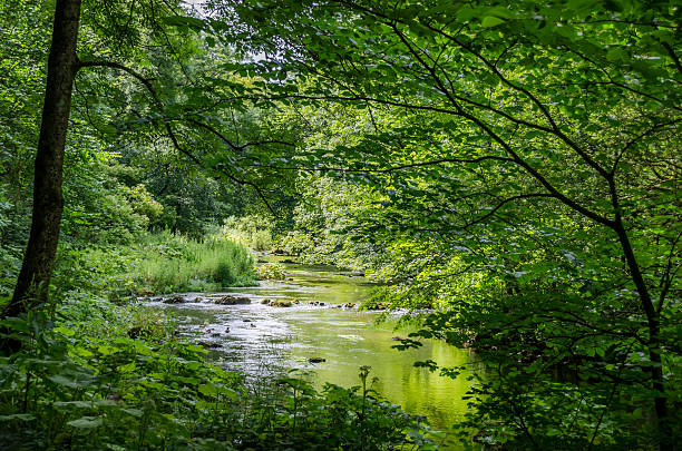 Summer River Slow shallow river running through a leafy valley bakewell photos stock pictures, royalty-free photos & images