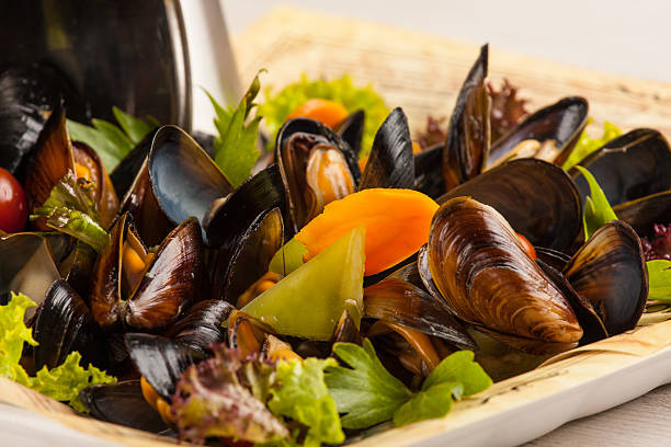 mussels in shells stock photo