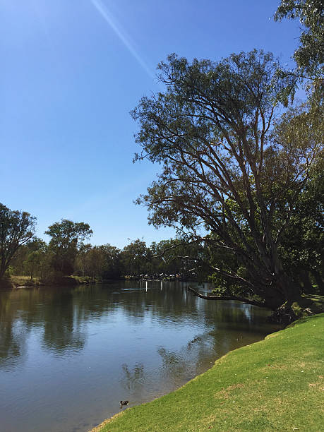 istock Murray River at Noreuil Park, Albury, NSW, Australia 515595898