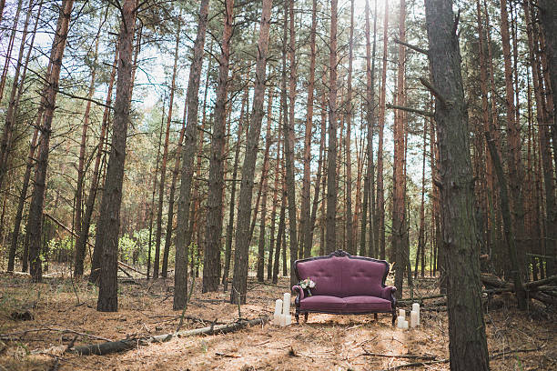 istock purple sofa it stand in the forest 515596568