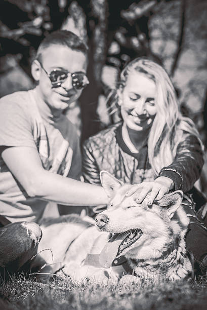 istock Pretty couple with dog outdoor 515600384
