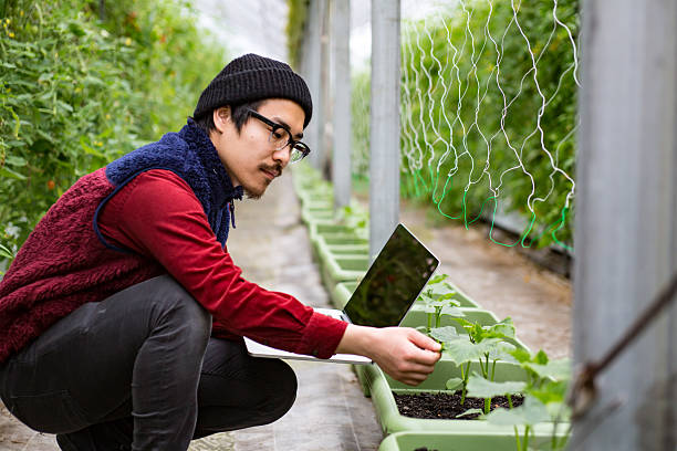 istock Farmer using wireless technology to monitor crops 515601094