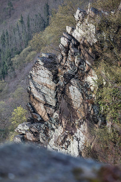 vue sur la vallée du rhin de rocher lorelei en allemagne - rhine gorge photos et images de collection