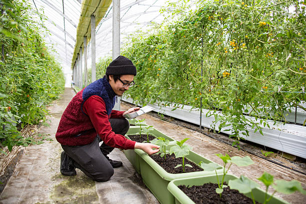 istock Farmer using technology to monitor crops 515601452