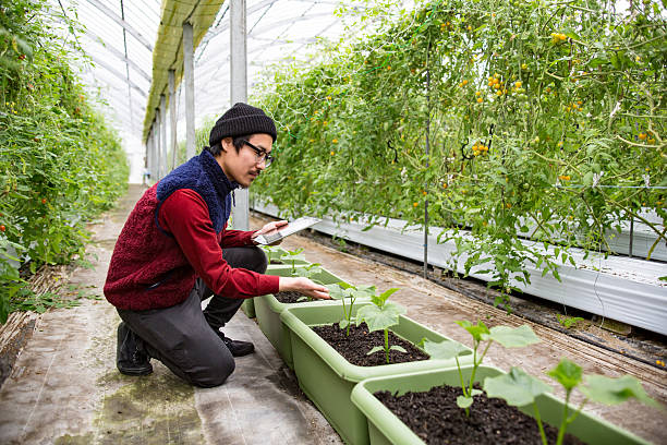 istock Farmer using technology to monitor crops 515601586