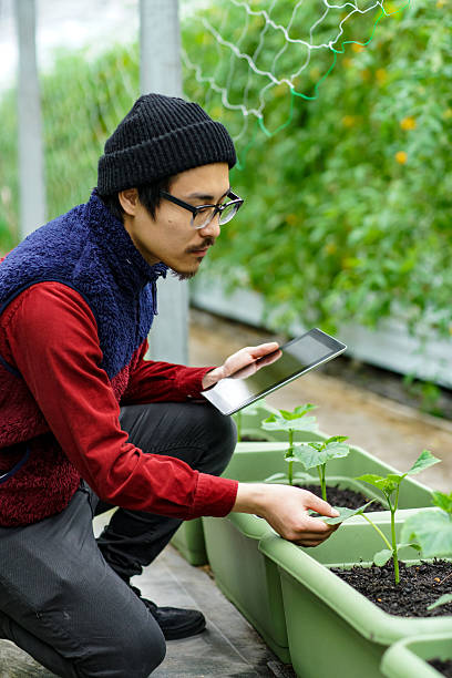 istock Farmer using technology to monitor crops 515602170