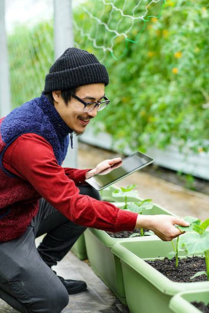 istock Farmer using technology to monitor crops 515602348