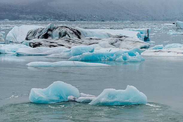 istock Blue ice at glacier lagoon and black beach on Iceland 515602980