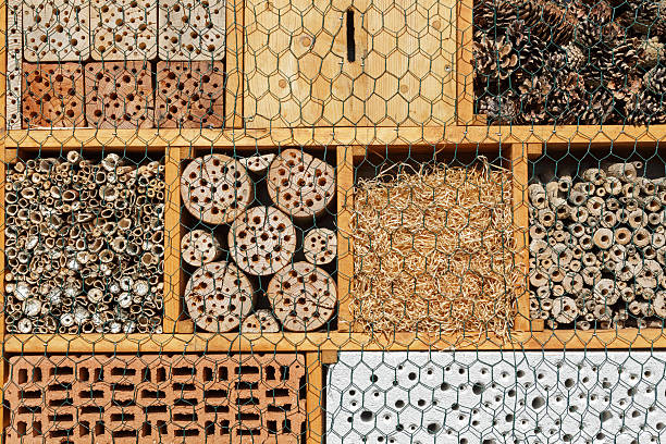 Insect hotel: Artificial nisting aid for solitary bees and wasps