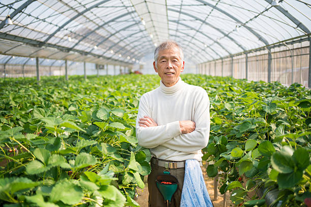istock Farmer in a greenhouse 515604634
