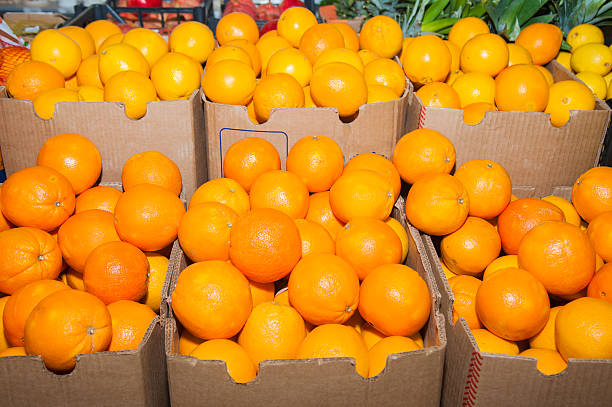 istock Oranges in supermarket 515605476
